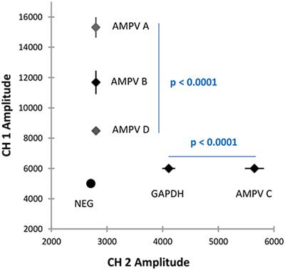 Avian metapneumovirus: A five-plex digital droplet RT-PCR method for identification of subgroups A, B, C, and D